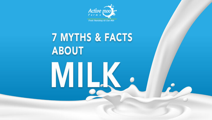 7 Myths and Facts About Milk