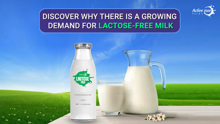 Discover Why There Is A Growing Demand For Lactose-Free Milk