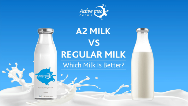 A2 Milk vs Regular Milk