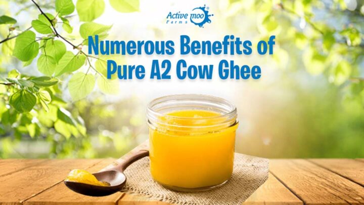 Numerous Benefits of Pure A2 Cow Ghee