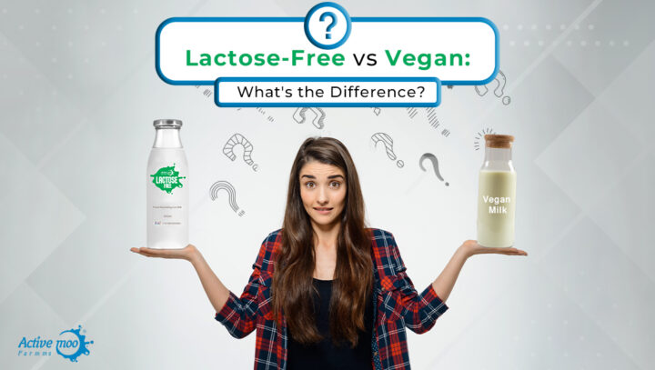 Lactose-Free vs Vegan: What’s the Difference?