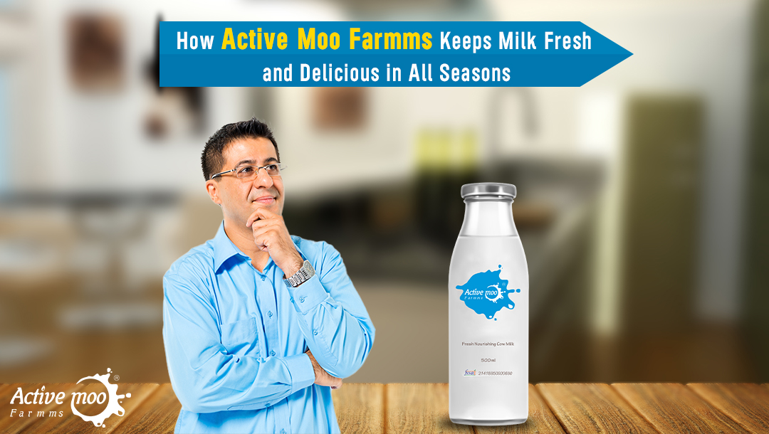 Active Moo Farmms Milk Fresh and Delicious in All Seasons