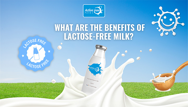 what are Benefits of lactose-free milk