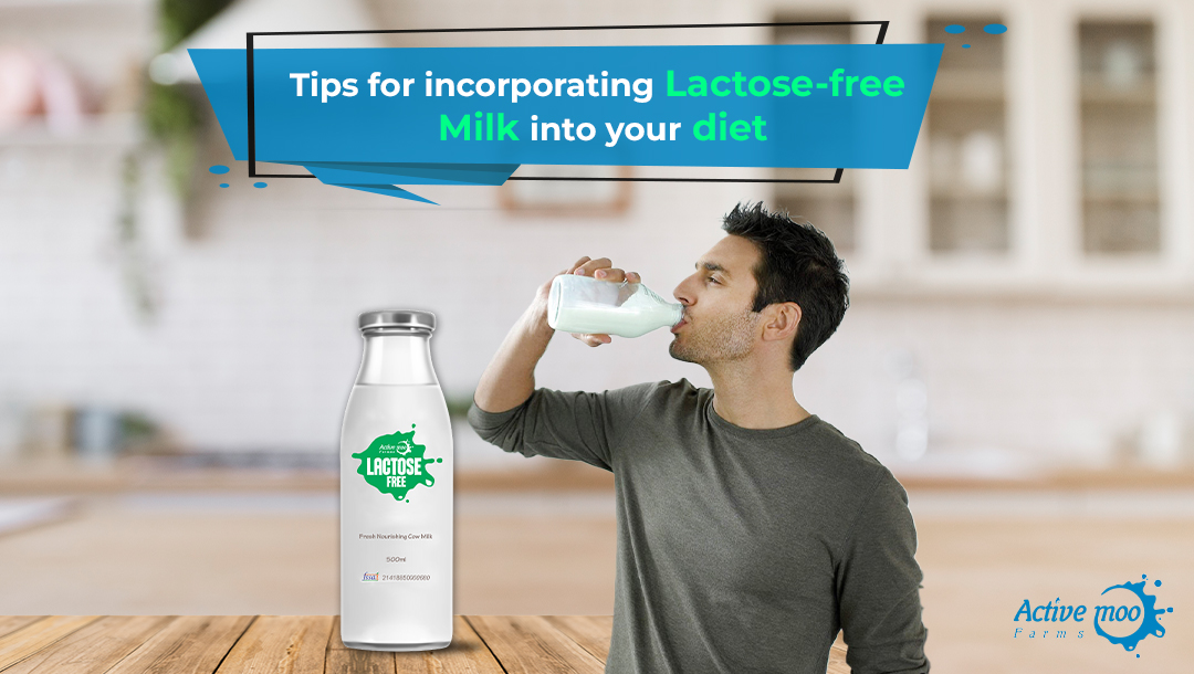 Incorporating Lactose-free Milk in diet