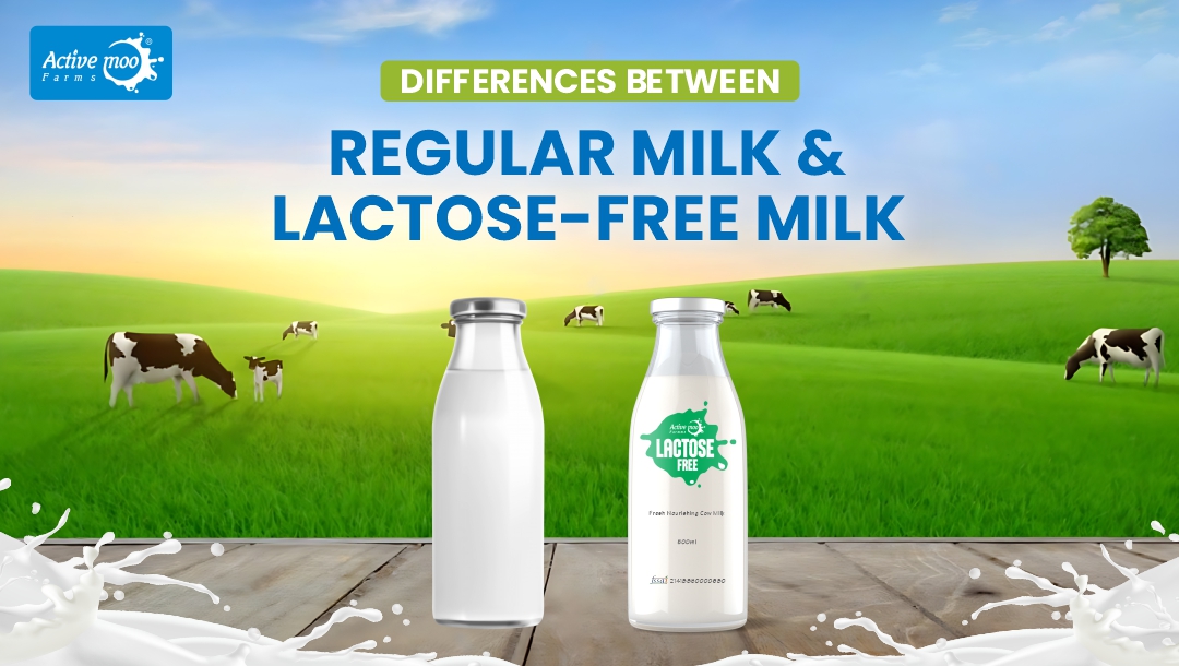 regular and lactose-free milk bottles