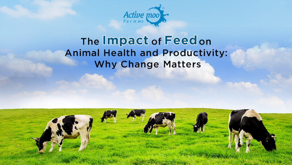 The Impact of Feed on Animal Health and Productivity